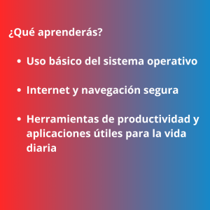 alfetización digital